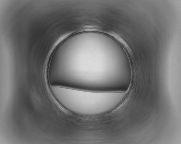 X0000113251333200909100935