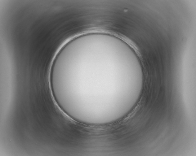 X0000113251334200909100935