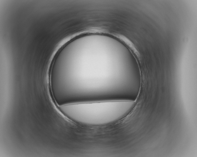 X0000113251335200909100935