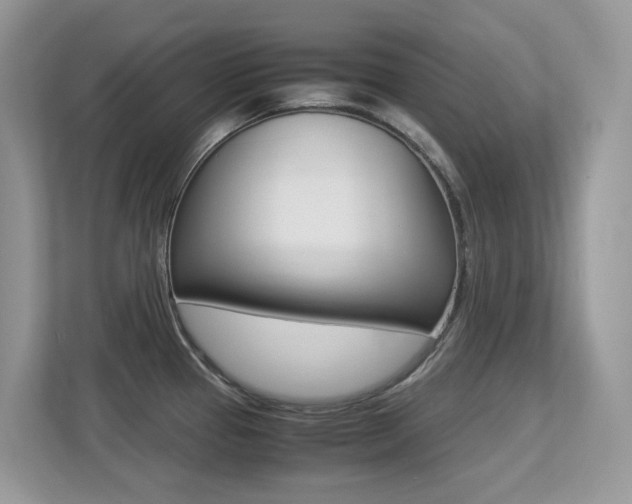 X0000113251337200909100935