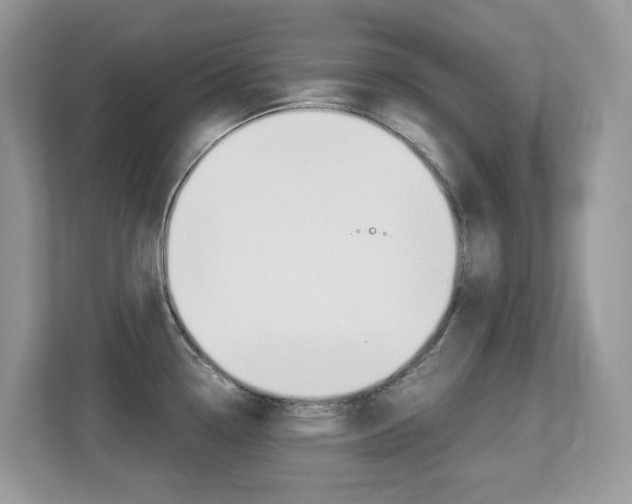 X0000113251338200909100935