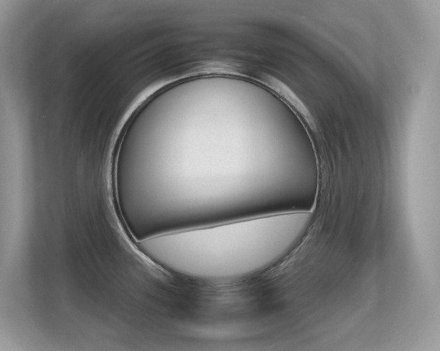 X0000113251339200909100935