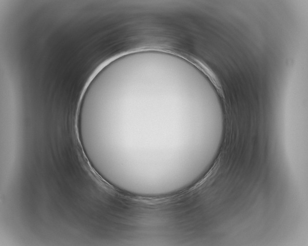 X0000113251340200909100935