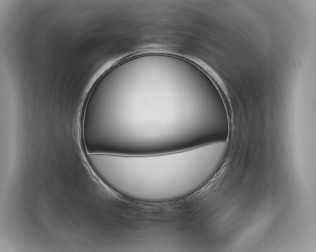X0000113251341200909100935
