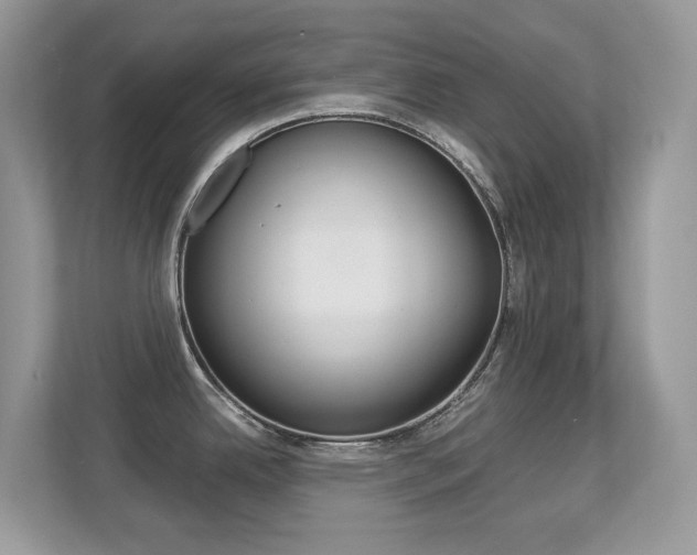 X0000113251342200909100935