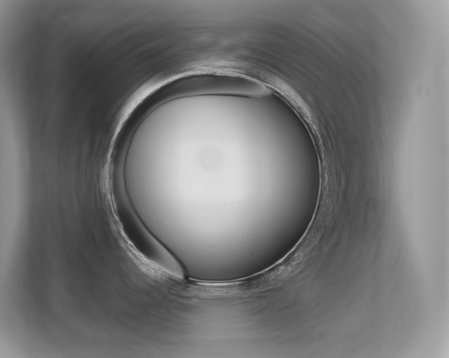X0000113251344200909100935