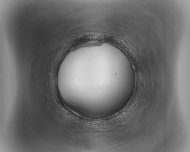 X0000113251345200909100934