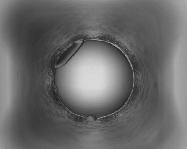 X0000113251349200909100934