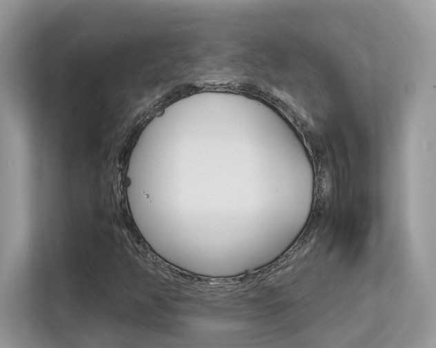 X0000113251350200909100934