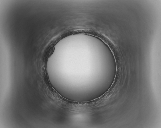 X0000113251351200909100934