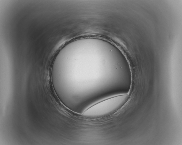 X0000113251355200909100934