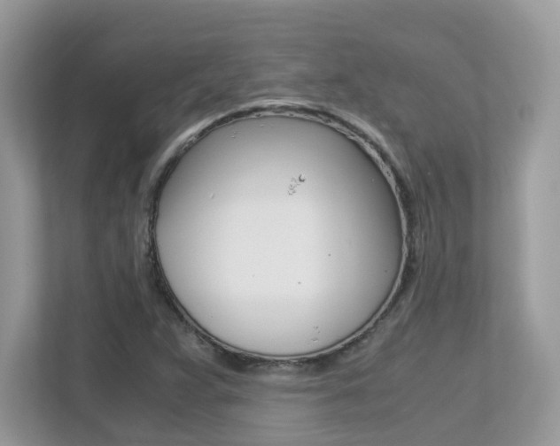 X0000113251359200909100934