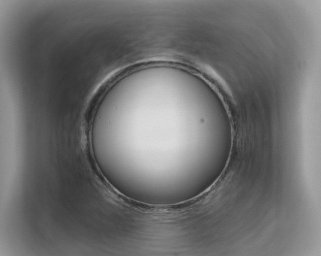 X0000113251360200909100934