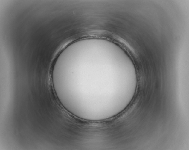 X0000113251362200909100934