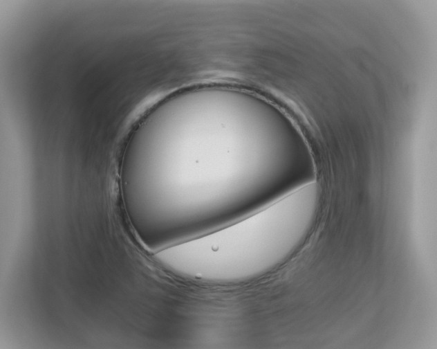X0000113251363200909100934