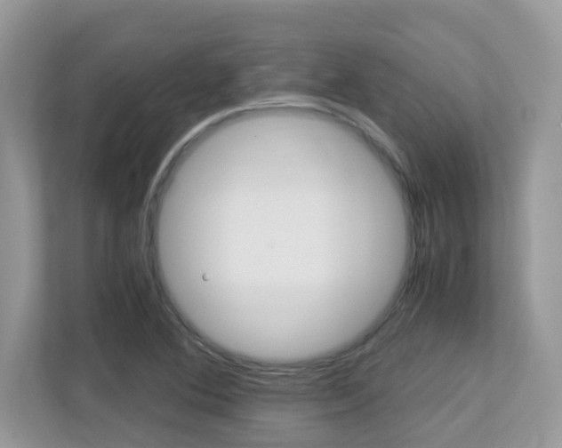 X0000113251364200909100934