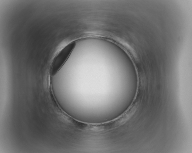 X0000113251365200909100934