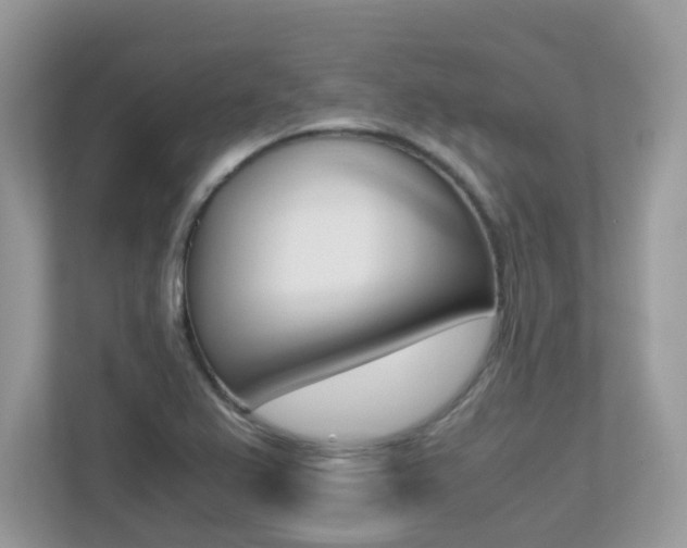 X0000113251367200909100934
