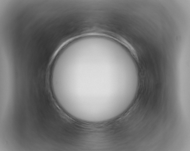 X0000113251368200909100934