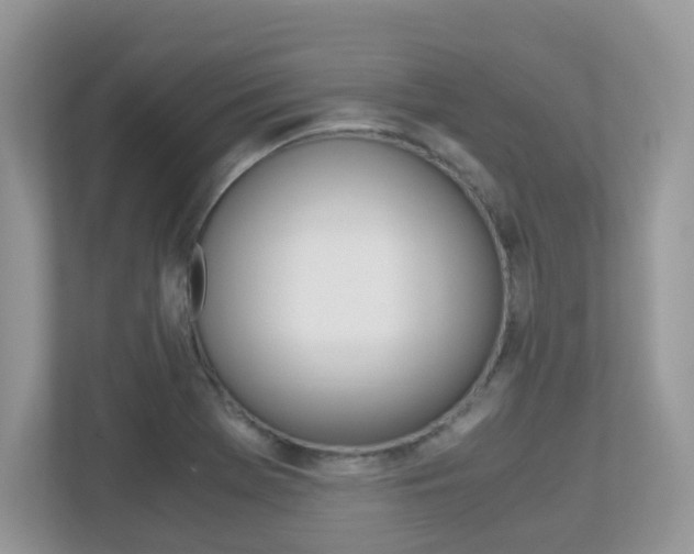 X0000113251369200909100934