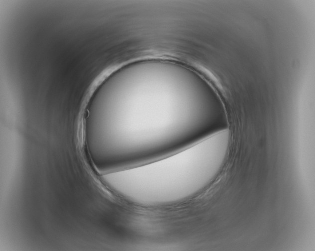 X0000113251371200909100934