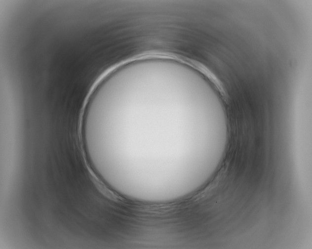 X0000113251372200909100934