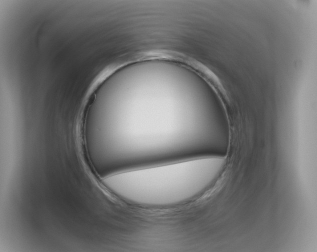 X0000113251373200909100934