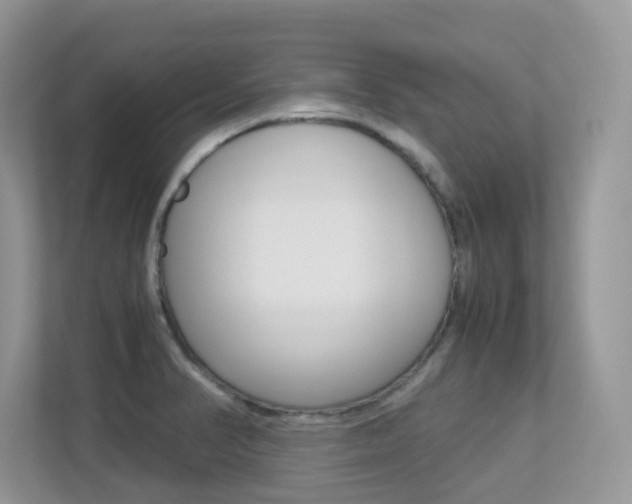 X0000113251374200909100934