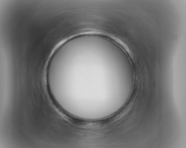 X0000113251375200909100934