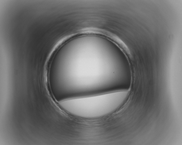 X0000113251376200909100934