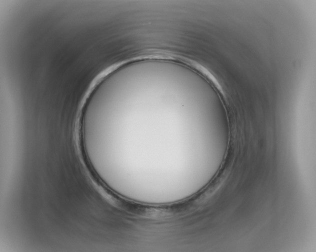 X0000113251379200909100934