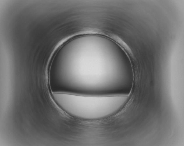 X0000113251380200909100934