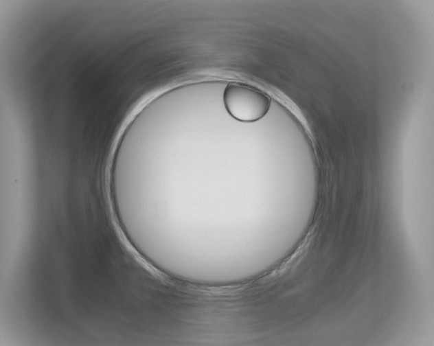 X0000113251381200909100934