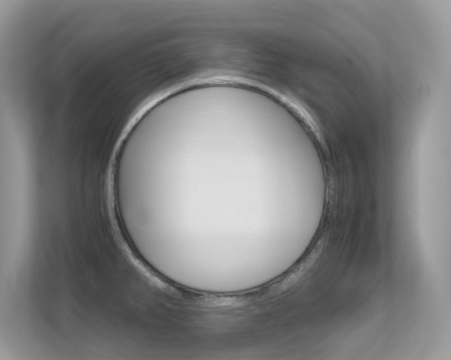 X0000113251382200909100934