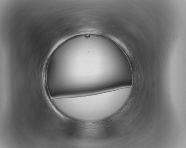 X0000113251383200909100934