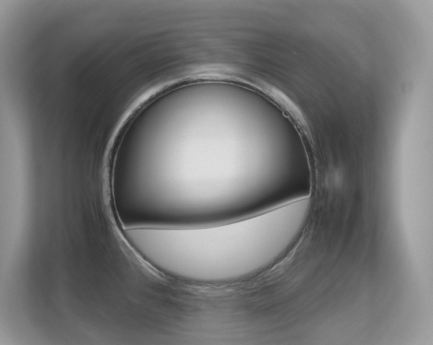 X0000113251384200909100934
