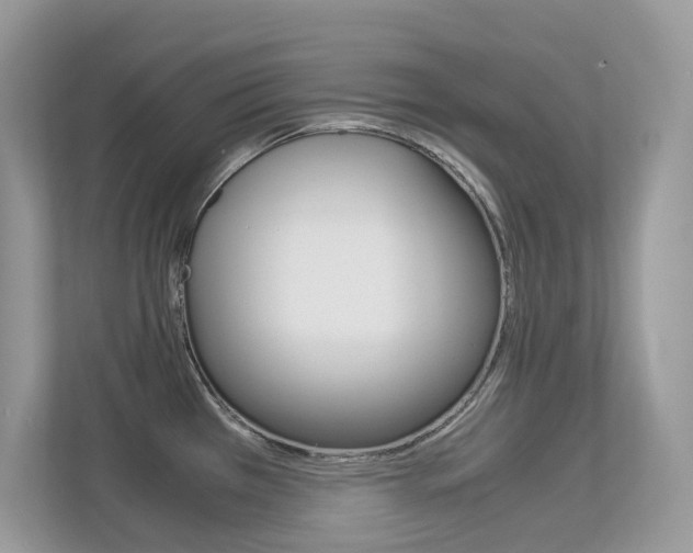 X0000113251385200909100934