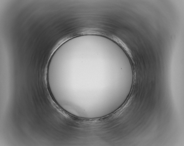 X0000113251386200909100934