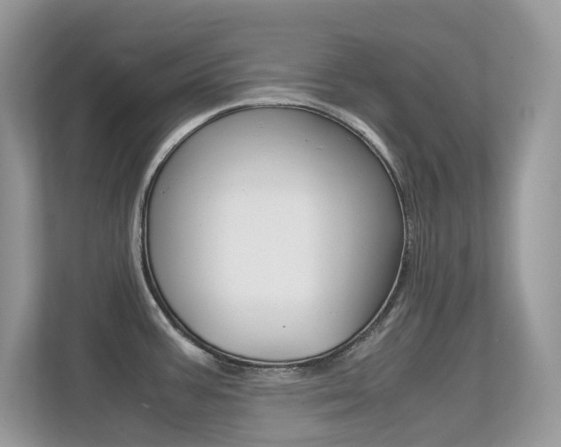 X0000113251387200909100934