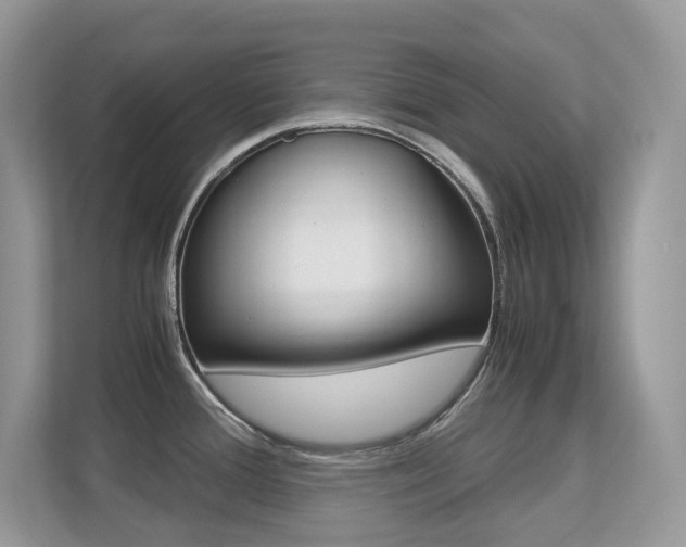X0000113251388200909100934