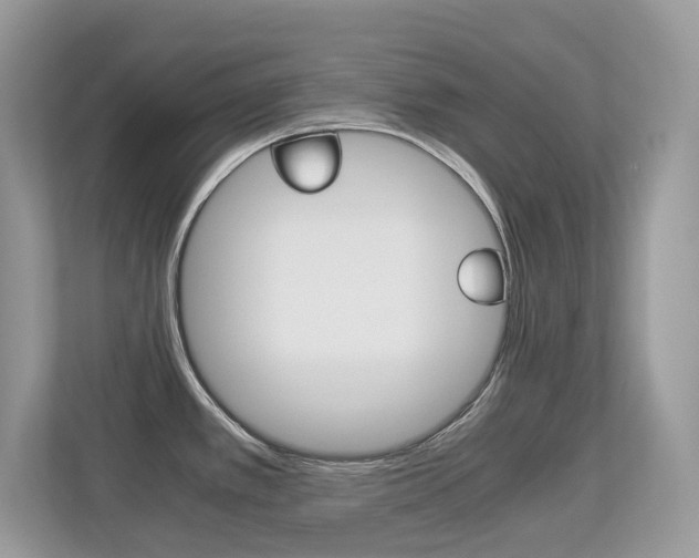 X0000113251389200909100934