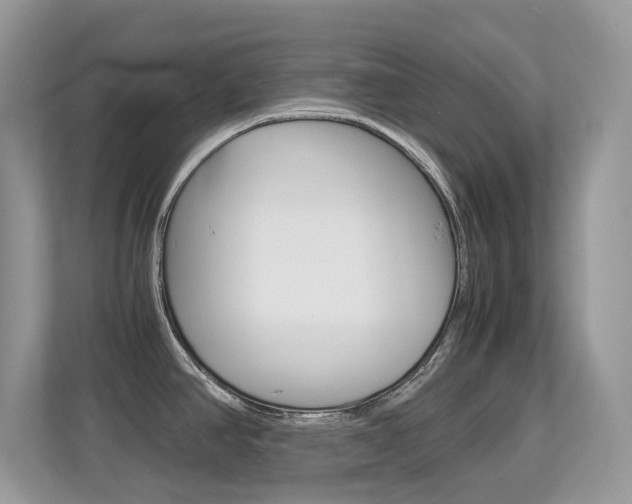 X0000113251390200909100934