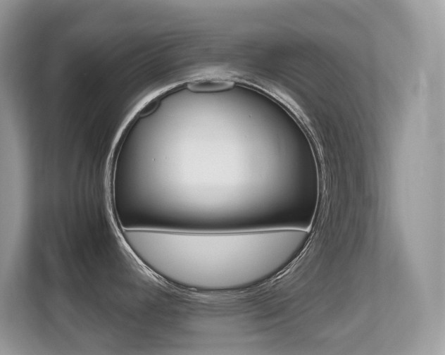 X0000113251392200909100934