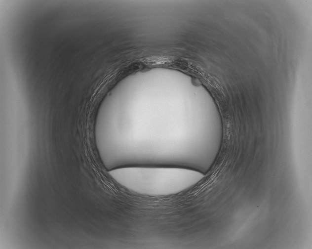 X0000113251393200909100933