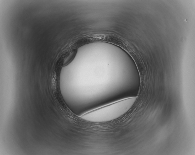 X0000113251394200909100933