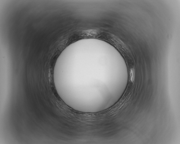 X0000113251395200909100933