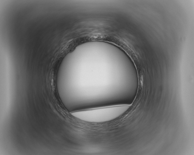 X0000113251396200909100933