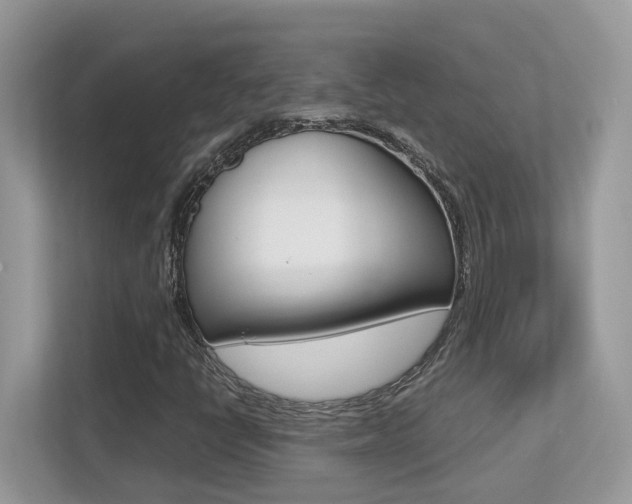 X0000113251398200909100933