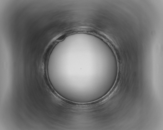 X0000113251402200909100933