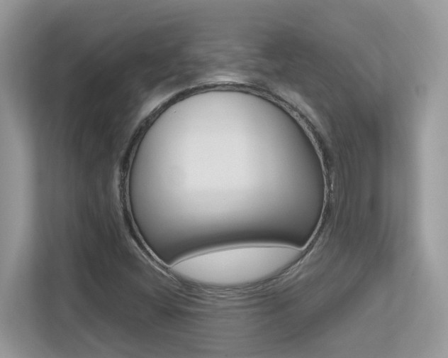 X0000113251404200909100933